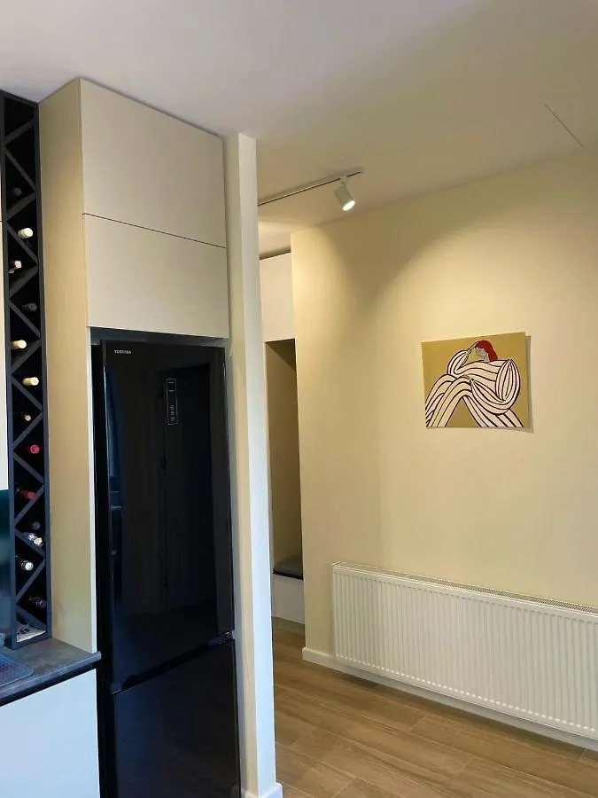 Апартаменты Modern Apart Old Tbilisi Center Грузия
